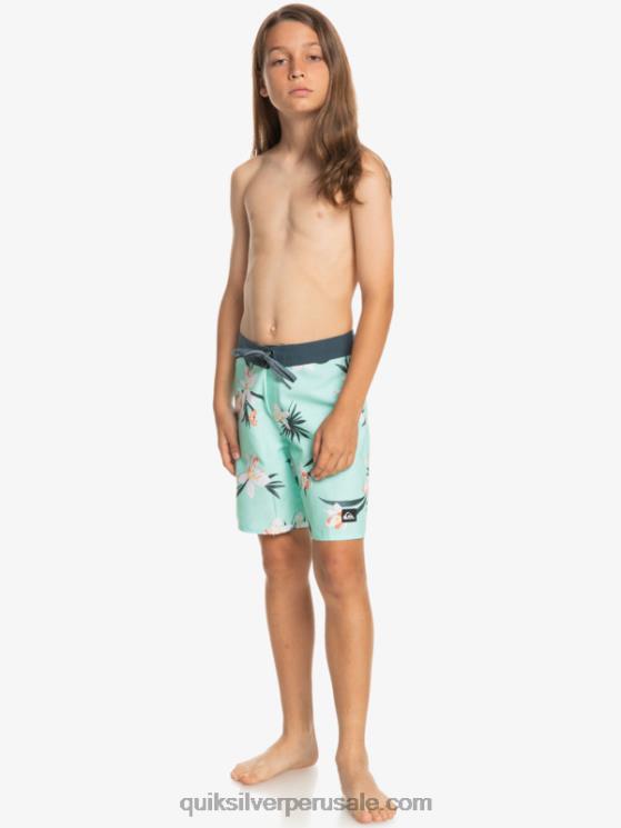 Quiksilver N8LNT2140 Niños vaso de playa 8-16 todos los días qs 69 16 bañadores