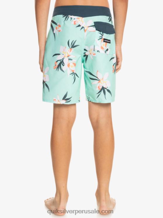 Quiksilver N8LNT2140 Niños vaso de playa 8-16 todos los días qs 69 16 bañadores