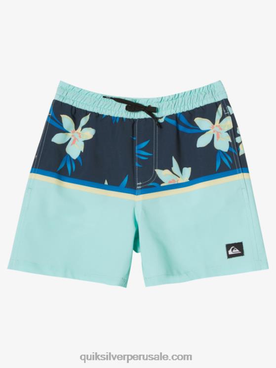 Quiksilver N8LNT2141 Niños vaso de playa 8-16 surfsilk division vl 14 voleas