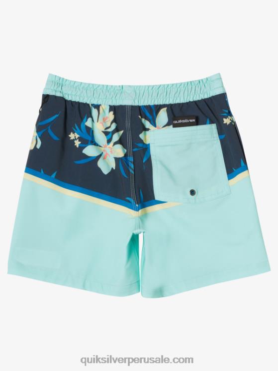 Quiksilver N8LNT2141 Niños vaso de playa 8-16 surfsilk division vl 14 voleas