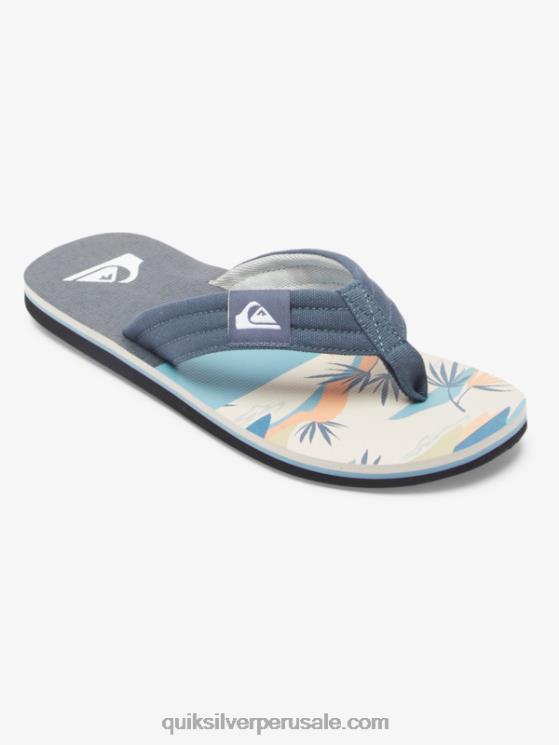 Quiksilver N8LNT494 hombres gris blanco sandalias molokai layback